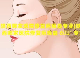 陕西哪家医院修复疤痕最专业(陕西哪家医院修复疤痕最 🐴 专业的)